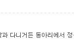 주작 <b>검거</b> 한심한것