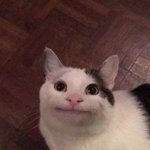 [댓글부탁해] 나 옛날에 ㅈㄴ골때리는꿈꿨음