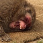 [NCT즌] 아니 가지<b>말아</b>보라고..