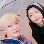 [NCT즌] <b>이미</b> 오늘 호모플은 여기까진듯