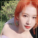 [모두드루와] 여돌 ㄹㅈㄷ 포카 짤털하장