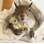 [모두드루와] 제이홉을 짝사랑한 뷔 <b>김태형</b>