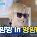 [NCT즌] 우리 <b>양양</b>에 간 <b>양양</b>님