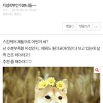 중2<b>잼</b><b>민</b>이 주제에 이딴글 싸지름