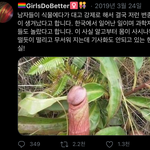 트페미 레전드..jpg