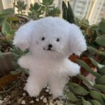 [NCT즌] 진짜 <b>한입</b>거리