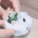 나 무리에서 떨궈졌을 때 개감동받은 거