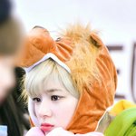<b>이상적</b>인 매력 가진 아이돌