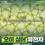 [펜타곤] <b>우석</b>이는 그랬구나...