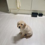 <b>이아이</b>는 어느집안 아이일까요?;;