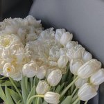 [댓글부탁해] <b>암살</b>교실 다 본 사람