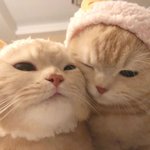 <b>카누</b> 먹는애들아