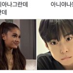 [NCT즌] 김도영 굴려굴려