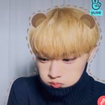 씨아엑 할 사람?