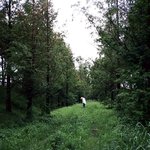 [우리태용님] <b>숲속</b>의 태용