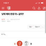 [NCT즌] 아 밑에 <b>낮</b>에 왜오냐는 글 있길래