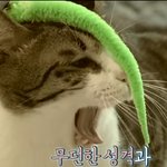 아미들아 들어와바