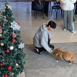 [댓글부탁해] 버스로 20분 거리 독서실 다니는거 어떰?