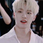 [드루와] 세븐틴 디노 생일기념 짤털