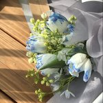 <b>튤립</b> 조카 예쁘지 않냐