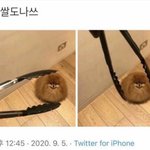 너네 살면서 과<b>몰입</b> 제일 심하게 해본거 뭐임