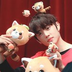 [더보이즈] 너네 선우 너구리파vs쪼<b>푸파</b>??