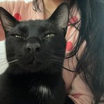 [드루와] 우니집고양이 ㅈㄹ긔<b>엽지</b>