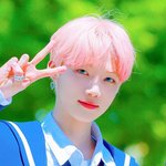 [더보이즈] 아니 더비들 정말 너무들한다