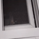 애플워치 스트랩 vs 바디<b>필로우</b>