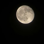 친척가족들 얼평 진짜 짜증나.;;