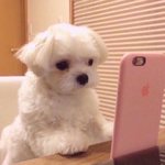 [댓글부탁해] 우리반 찐따 트위터 계정 찾음ㅋㅋㅋㅋ