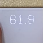 나 거의 2kg 뺐다