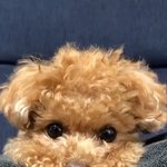 [NCT즌] 진짜 해피<b>캠퍼스</b> 돌아오는 날 내가