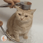 [댓글부탁해] 재수 현실 팩트 알려줌 02년생 들어와