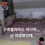 <b>이런집</b>에서 사는게 가능함?
