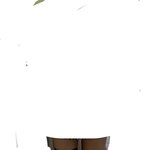 얘들아 부츠핏좀 봐줘 제발