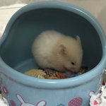 2019.11.27~2021.02.12