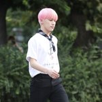 비율 좋은 <b>디노</b>