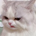 <b>세벳돈</b>으로 뭐할거야
