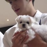 [더보이즈] 솔직히 <b>모리</b> 보고싶지않냐