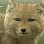 <b>팝송</b> 많이 아는 애들은 어케 아는걸까