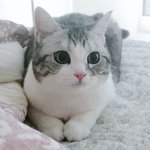 [댓글부탁해] 오늘 뭐<b>입지</b>?!?!