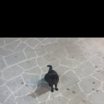 [꼭조언부탁] <b>베베</b> 찾았어요. 감사합니다.