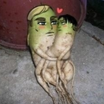 [진격의거인] 애루리 <b>이개</b>뭐노 ㅋㅋㅋㅋㅋㅋㅋㅋㅋㅋㅋ