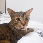 [TXT] 얘가 <b>호박</b>이임?