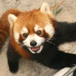 [더보이즈] <b>김선우</b>는