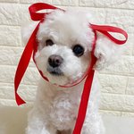 [골든차일드] 뽀글이 넘 <b>천사</b> 같아