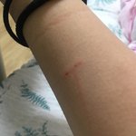 충격..우리 강아지 <b>사춘</b>긴가