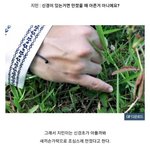[방탄소년단] 지민쒜 12분 <b>남음</b>