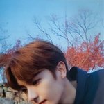 [더보이즈] 이런 감성에 강한 <b>희열</b>을 느낍니다‼️